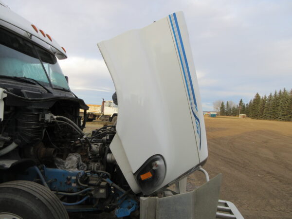 2016 FREIGHTLINER CASCADIA - Image 23